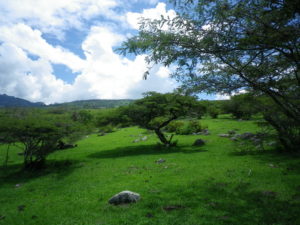 4- future zone habitation