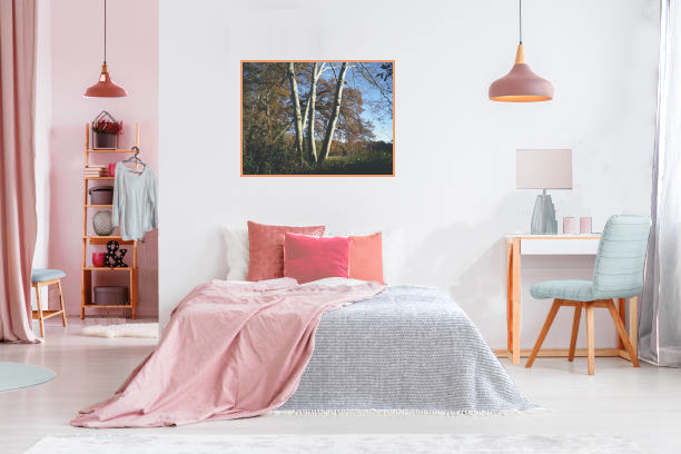 couleurs ; tissus ; énergie ; déco ; images ; nature ; ambiance